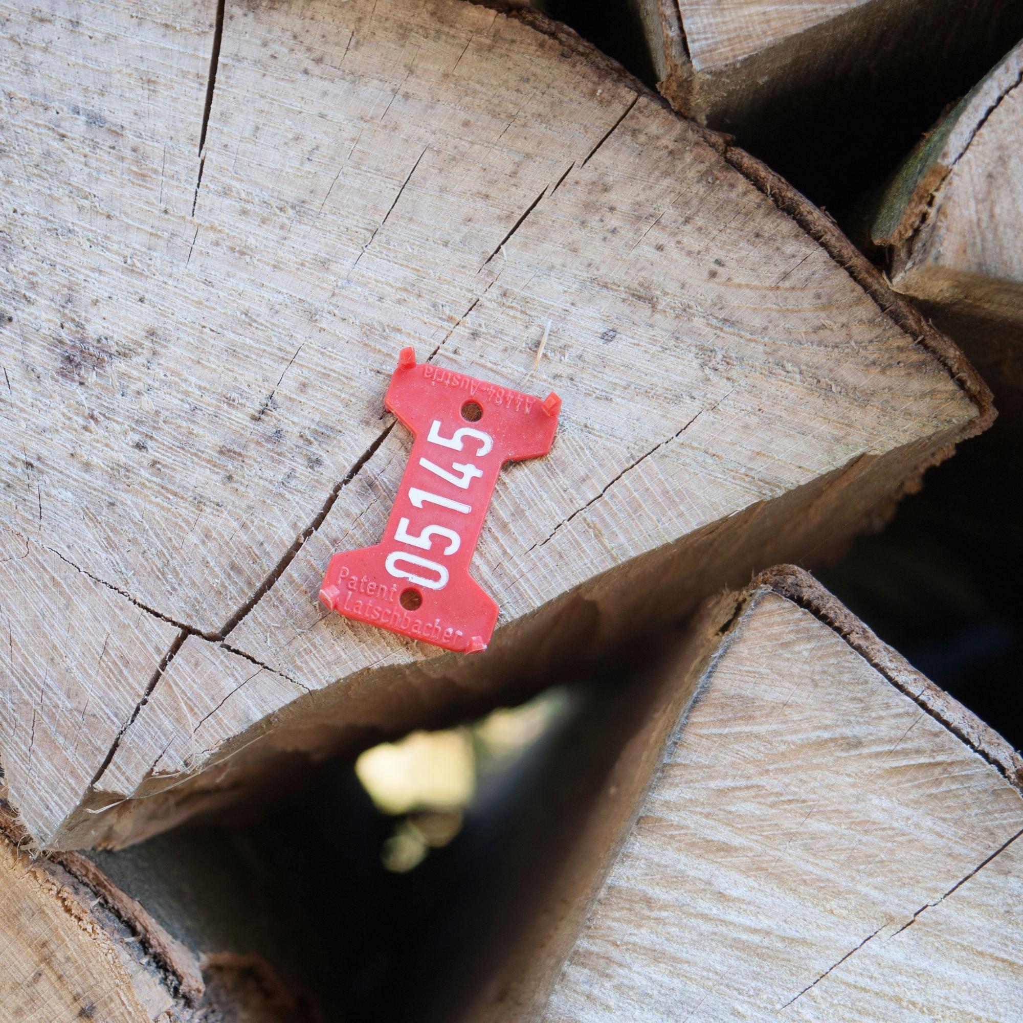 Le bois de feuillus : bien plus qu’un simple bois de chauffage (bois de hêtre empilé)