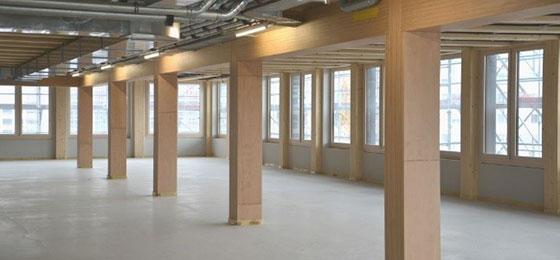 Die Tragkonstruktion bilden sichtbare Stützen und Unterzüge aus Buchen- und Fichtenholz.