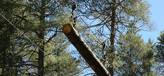 Timber harvest with a rope crane, Sur En GR