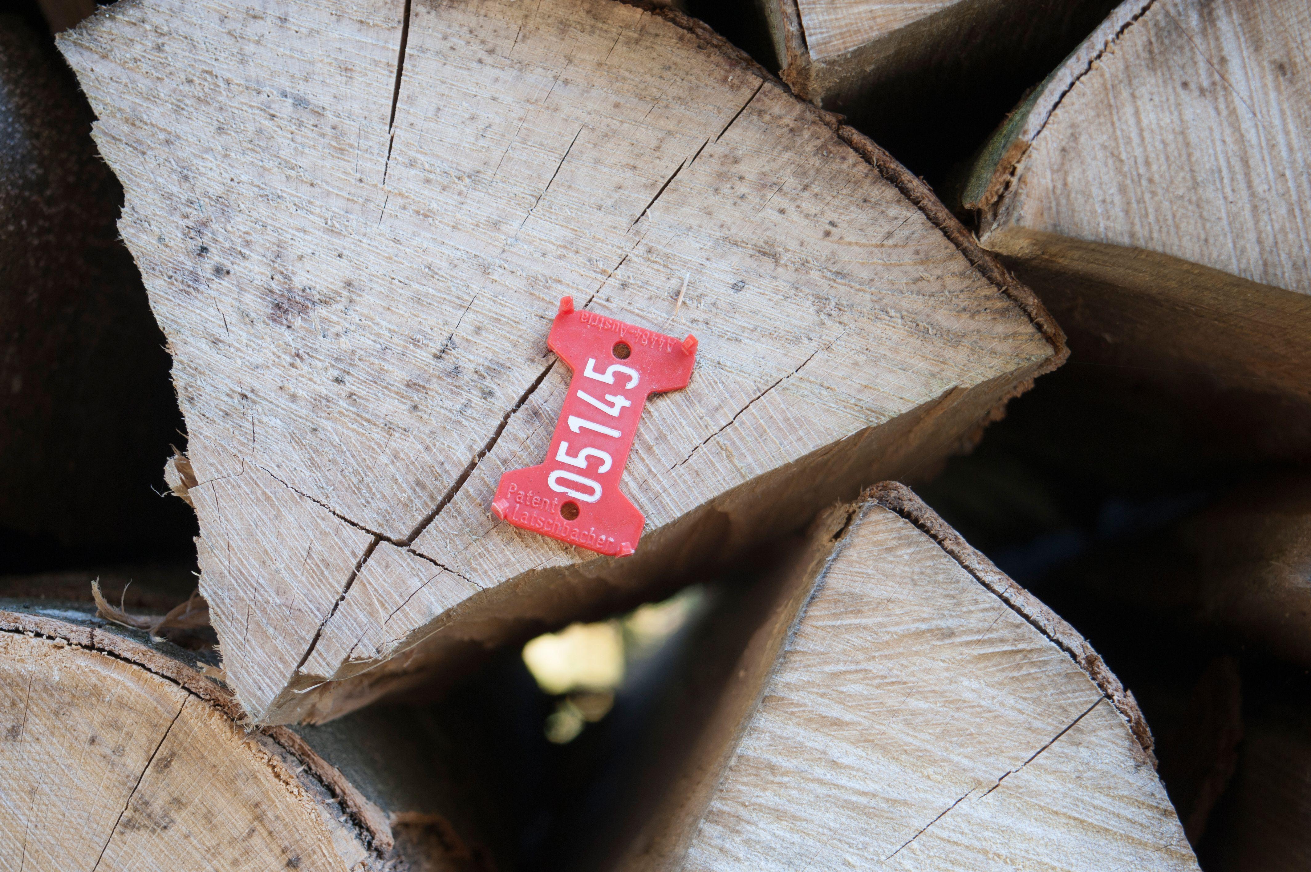 Le bois de feuillus : bien plus qu’un simple bois de chauffage (bois de hêtre empilé)